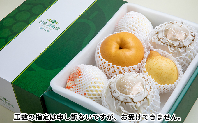 梨 2025年 先行予約 あたご梨・鴨梨（ヤーリー）詰合せ 合計約4.5kg あたご2～3玉 鴨梨3～6玉 贈答箱【11月下旬～12月中旬頃発送】 ナシ なし 岡山県産 国産 フルーツ 果物 ギフト 石原果樹園 食べ比べ 