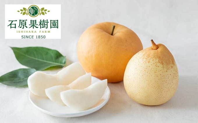 yRsz 2025N s\ Ojij 1( 1`1.4kg)EOij 2`3 l v2.0kgy11{`12{z RY t[c Mtg Όʎ ʕ Hה