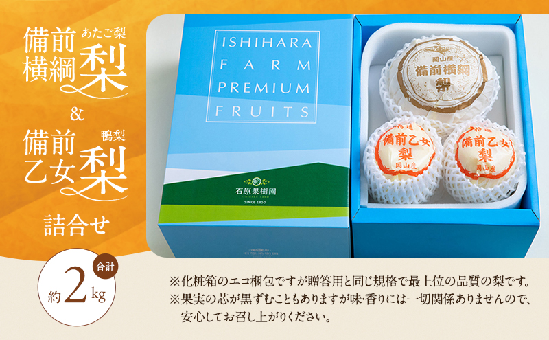 梨 2026年 先行予約 備前横綱梨（あたご梨） 1玉( 1～1.5kg)・備前乙女梨（鴨梨） 2～3玉 詰合せ 合計約2.0kg【11月下旬～12月中旬頃発送】 岡山県産 フルーツ ギフト 石原果樹園 果物 食べ比べ 