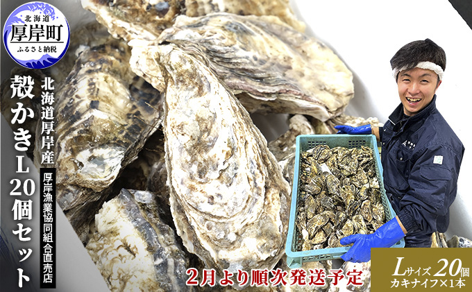 2026年2月発送 厚岸産 殻かき L20個セット 魚貝類 海鮮 海の幸 生牡蠣 生食用 生食用牡蠣 オイスター 厚岸産生牡蠣 カキナイフ付 マルえもん