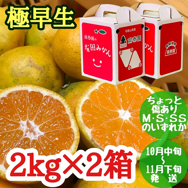 ZF6026n_ちょっと 傷あり 極早生 みかん 有田 M～SSサイズ 約2kg × 2箱