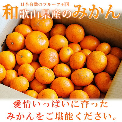 G7072_【先行予約】初夏のみかん なつみ5kg | 和歌山県湯浅町