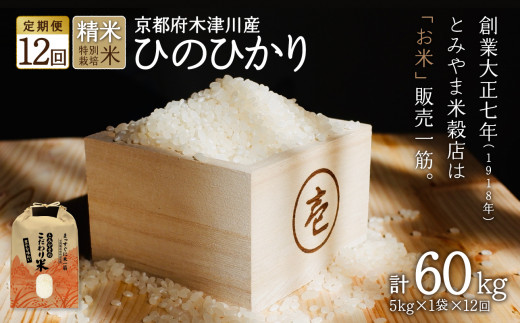 【定期便12か月】お米60kg（5kg×1