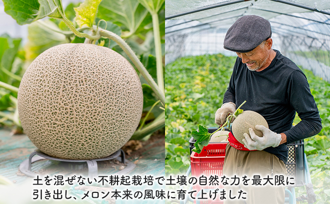 マイクロダイエット限定生産ふらのメロン 限定生産マイクロダイエット 北海道メロン｜サニーヘルス公式