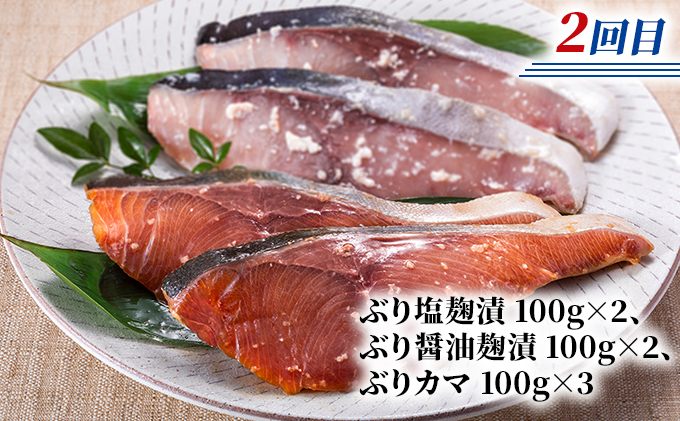 北海道枝幸町のふるさと納税 北隆丸 鮭・ブリ・ニシン3種の漬けセット【全3回定期便】【 干物 魚貝類 漬魚 味噌漬け 魚貝類 加工食品 北海道 オホーツク 枝幸 】