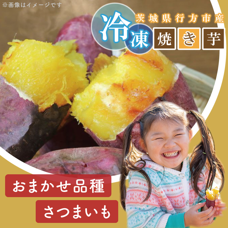 茨城県行方市のふるさと納税 【2025年9月末より順次発送】★少し大きめサイズ★熟成紅はるか冷凍焼き芋約1.2kg＋おまかせ品種さつまいも 合計約1.4kg｜さつまいも サツマイモ さつま芋 焼き芋 やきいも 冷凍 冷凍焼き芋 紅はるか 茨城県 行方市(EY-3)