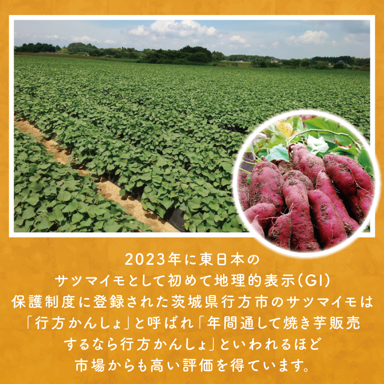 茨城県行方市のふるさと納税 【2025年9月末より順次発送】★少し大きめサイズ★熟成紅はるか冷凍焼き芋約1.2kg＋おまかせ品種さつまいも 合計約1.4kg｜さつまいも サツマイモ さつま芋 焼き芋 やきいも 冷凍 冷凍焼き芋 紅はるか 茨城県 行方市(EY-3)