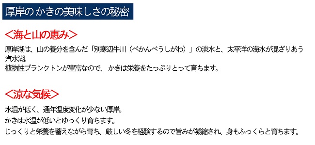 2026年2月発送 厚岸産 ブランドかき カキえもん LLサイズ 12個 魚貝類 海鮮 海の幸 生牡蠣 生食用 生食用牡蠣 オイスター 厚岸産カキえもん 殻かき 