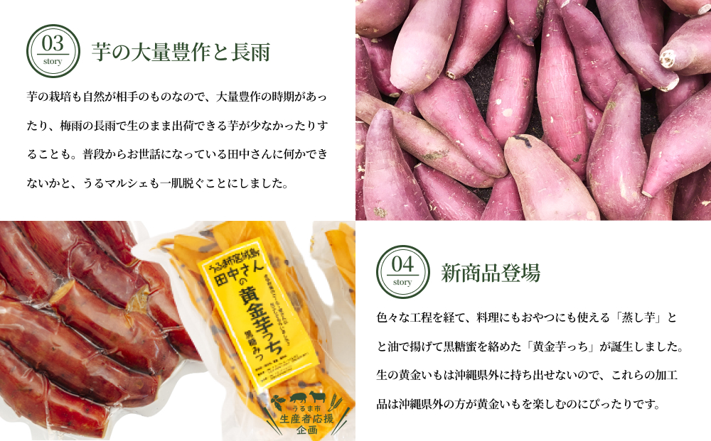 【生産者応援企画】うるマルシェ 黄金いもチップス黒蜜がけ（黄金芋っち）50g×8袋