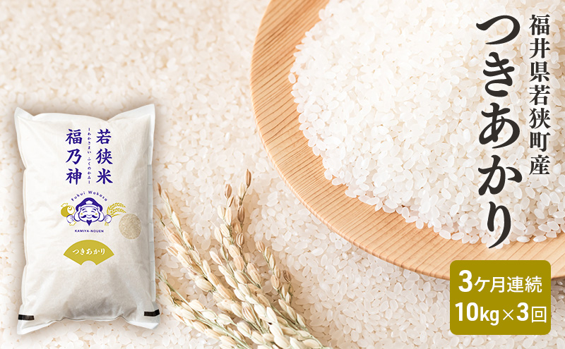 3ケ月連続 福井県若狭町 つきあかり （一等米）  10kg（5kg×2）（神谷農園） お米 ブランド米 銘柄米 ご飯 おにぎり お弁当 産地直送 和食 主食 