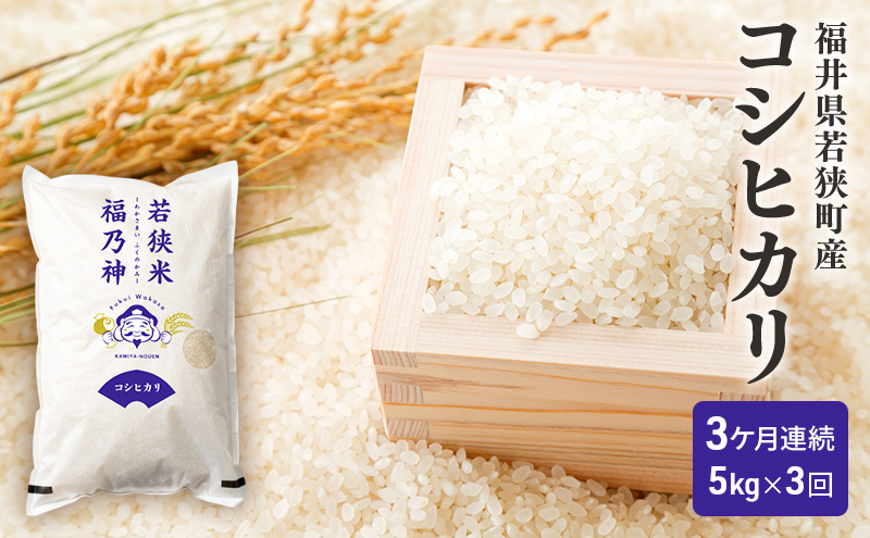 3ケ月連続 福井県若狭町 コシヒカリ （一等米） 5kg（神谷農園） お米 ブランド米 銘柄米 ご飯 おにぎり お弁当 産地直送 和食 主食