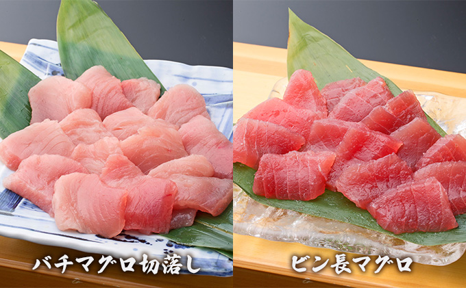 静岡県浜松市のふるさと納税 【3回定期便】天然まぐろ食べ比べ4種セット 合計1kg（バチマグロ切落し・びん長マグロ・ミナミマグロ・ネギトロ 250g×各１袋）×3回【配送不可：離島】 魚貝類 海の幸 海鮮 お酒のあて 厳選まぐろ もちもち