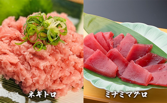 静岡県浜松市のふるさと納税 【3回定期便】天然まぐろ食べ比べ4種セット 合計1kg（バチマグロ切落し・びん長マグロ・ミナミマグロ・ネギトロ 250g×各１袋）×3回【配送不可：離島】 魚貝類 海の幸 海鮮 お酒のあて 厳選まぐろ もちもち