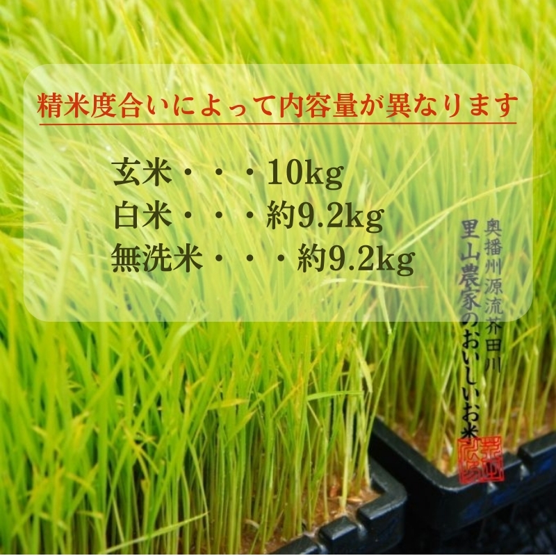 米 【令和7年産】 キヌヒカリ 10kg 精米 奥播州源流 芥田川産 芥田川 農家直送 10キロ 国産米 きぬひかり 贈り物 喜ばれる お米ギフト おいしいお米 お祝い 内祝い 贈答 美味しい おいしい 