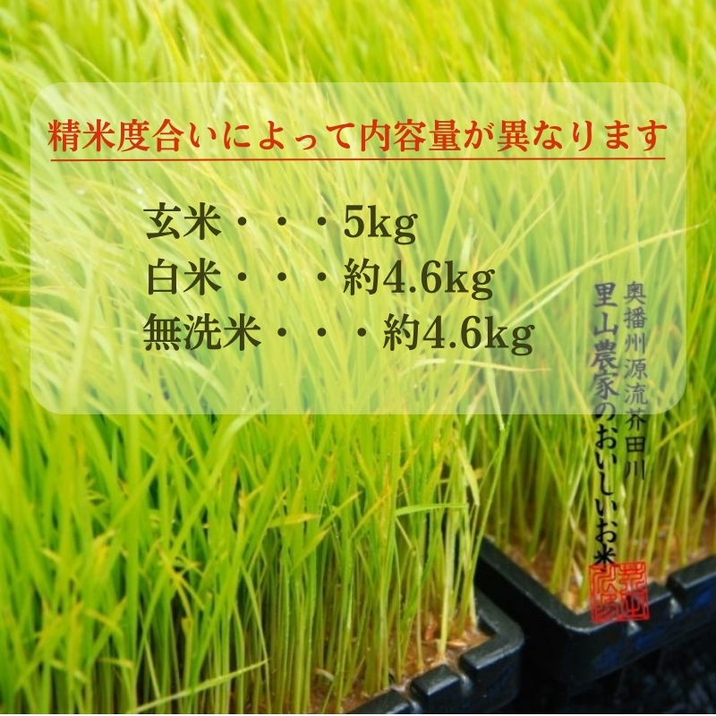 兵庫県加西市のふるさと納税 米 【令和7年産】 コシヒカリ 5kg精米 奥播州源流 芥田川産 芥田川 農家直送 5キロ 国産米 こしひかり  贈り物 喜ばれる お米ギフト おいしいお米 お祝い 内祝い 贈答 美味しい おいしい