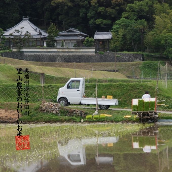 兵庫県加西市のふるさと納税 米 【令和7年産】 コシヒカリ 5kg精米 奥播州源流 芥田川産 芥田川 農家直送 5キロ 国産米 こしひかり  贈り物 喜ばれる お米ギフト おいしいお米 お祝い 内祝い 贈答 美味しい おいしい
