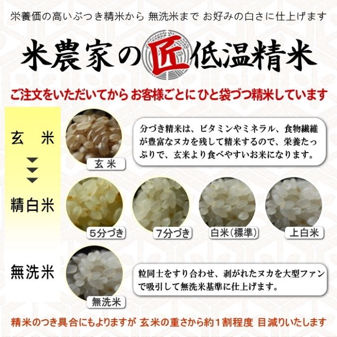 米 【令和7年産】 ヒノヒカリ 10kg 精米 奥播州源流 芥田川産 芥田川 農家直送 10キロ 国産米 ひのひかり 贈り物 喜ばれる お米ギフト おいしいお米 お祝い 内祝い 贈答 美味しい おいしい 