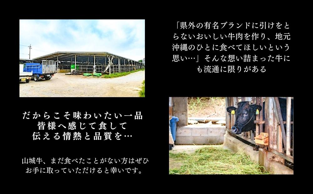 【入手困難】【幻の黒毛和牛】『山城牛』【雌牛限定】もも肉　焼肉カット300g