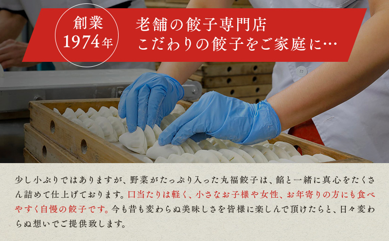 静岡県袋井市のふるさと納税 餃子 リピーター続出！ 遠州名物 丸福の餃子 タレ付き ぎょうざ ギョーザ ギョウザ 惣菜 おかず 中華 点心 加工食品 冷凍 静岡