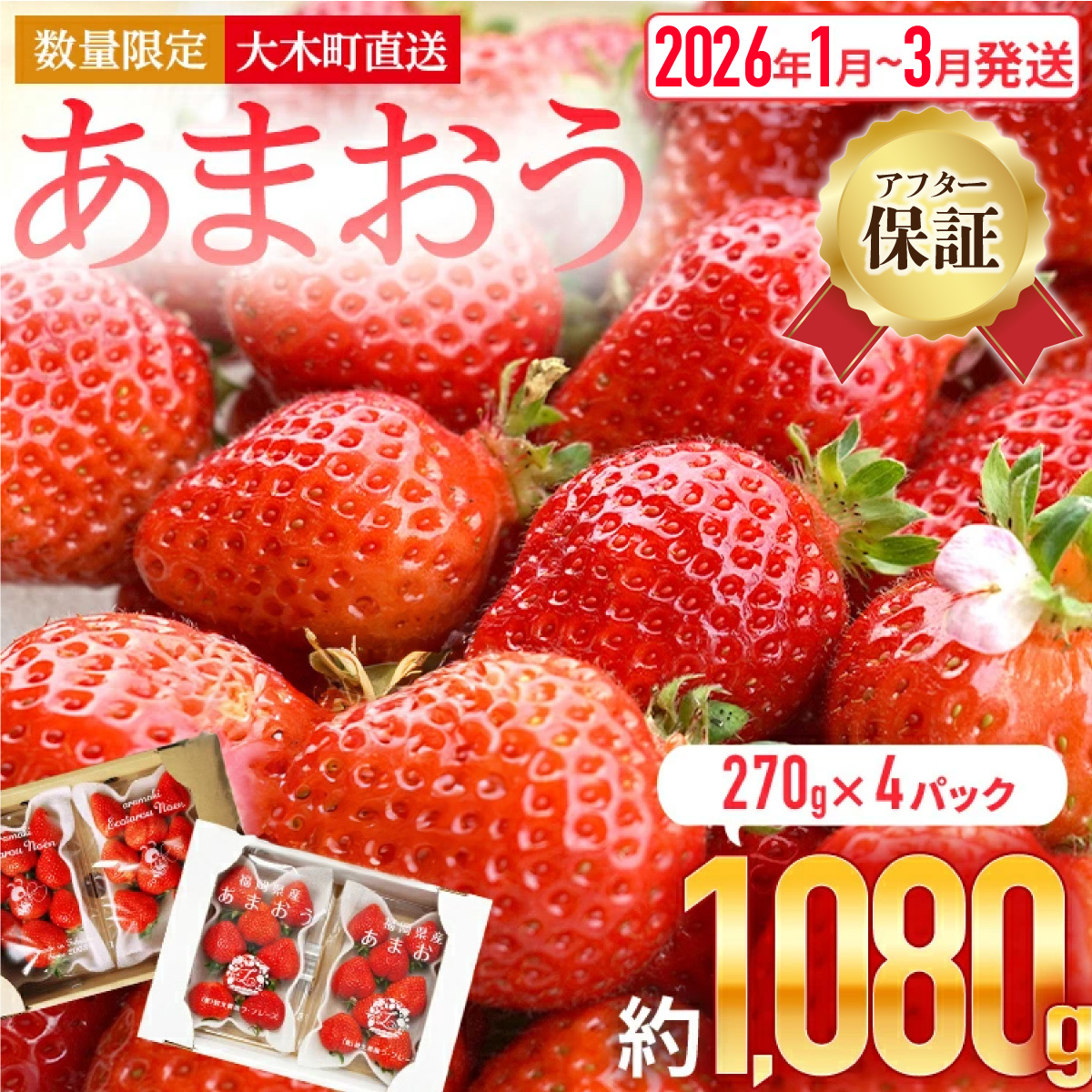 【アフター保証】いちご あまおう 大木町 