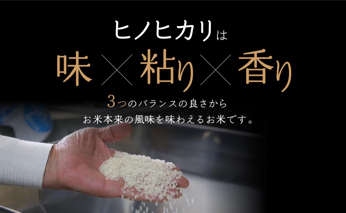 京都府木津川市のふるさと納税 【定期便12か月】お米60kg（5kg×12回）特別栽培米