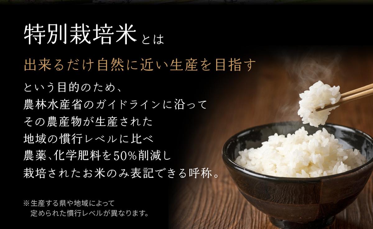 京都府木津川市のふるさと納税 【定期便12か月】お米60kg（5kg×12回）特別栽培米