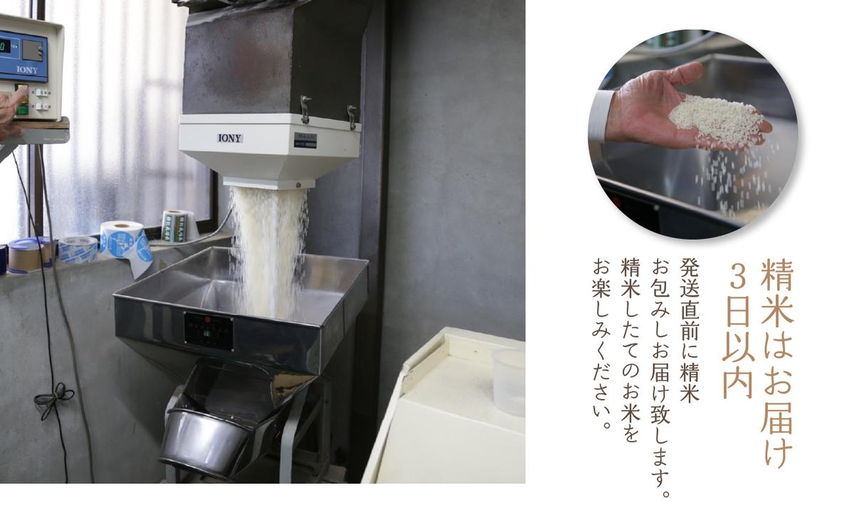 京都府木津川市のふるさと納税 【定期便12か月】お米60kg（5kg×12回）特別栽培米