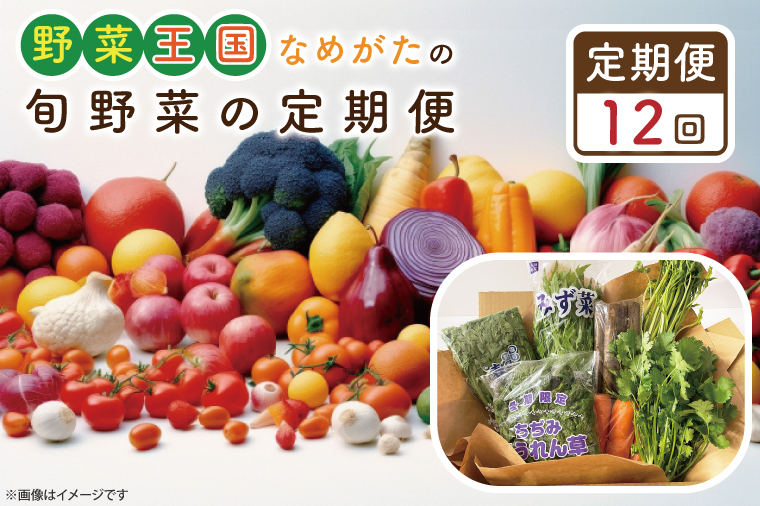 茨城県行方市のふるさと納税 CU-130　【12ヶ月定期便】野菜王国なめがたの旬野菜の定期便