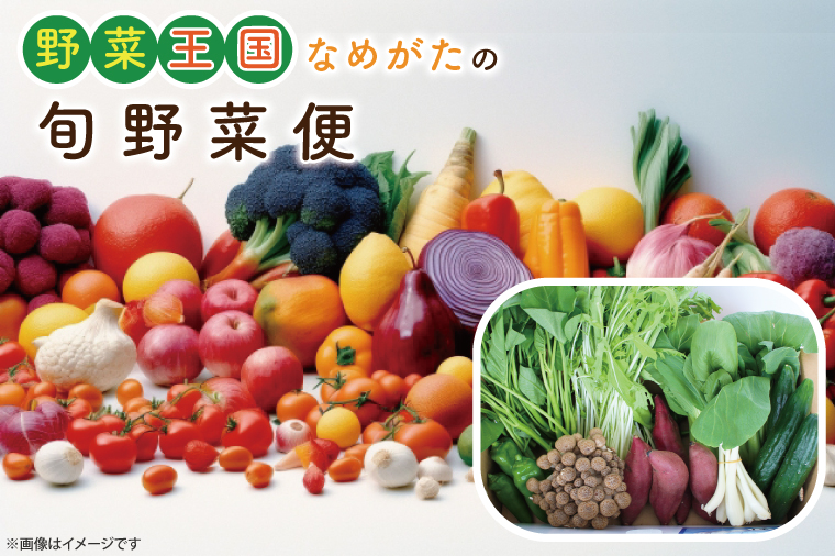 茨城県行方市のふるさと納税 CU-131　野菜王国なめがたの旬野菜便（さつまいも入り）
