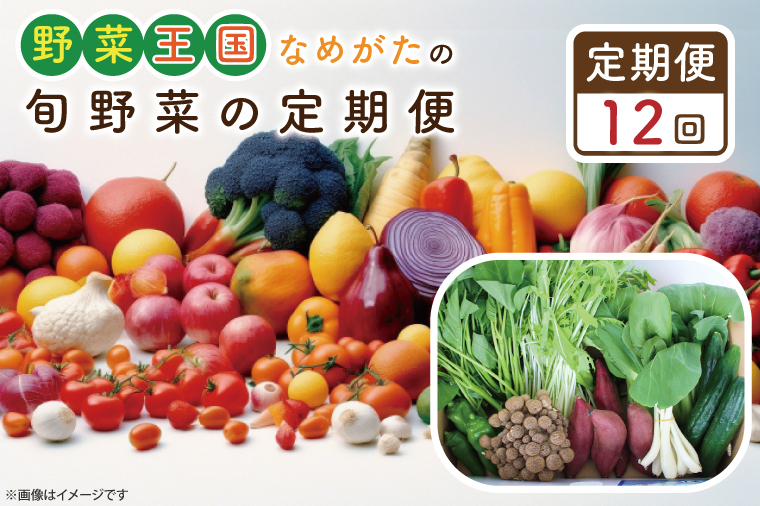 茨城県行方市のふるさと納税 CU-134　【12ヶ月定期便】野菜王国なめがたの旬野菜の定期便（さつまいも入り）