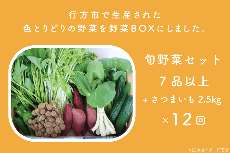 茨城県行方市のふるさと納税 CU-134　【12ヶ月定期便】野菜王国なめがたの旬野菜の定期便（さつまいも入り）