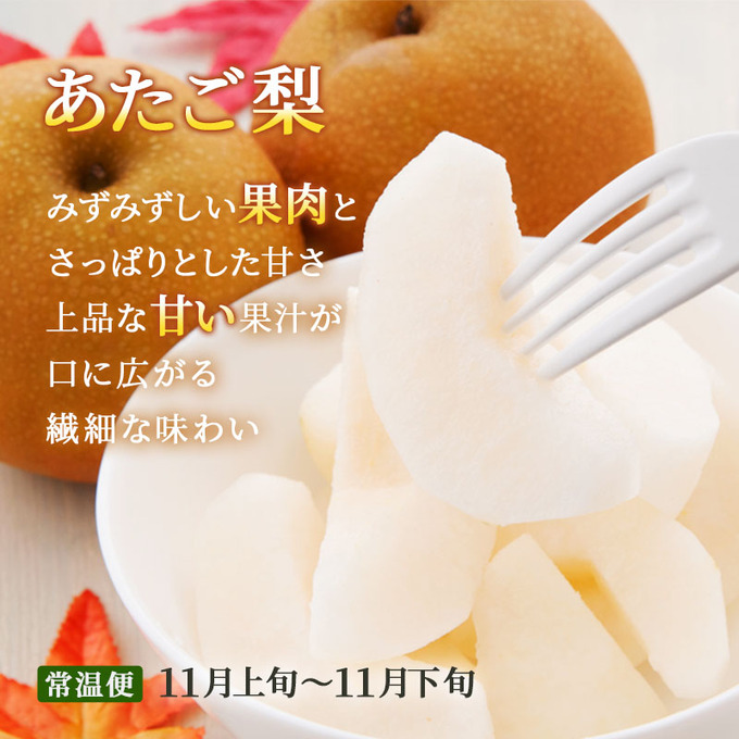 フルーツ 定期便 2026年 先行予約 晴れの国 おかやま 5回コース 桃 もも モモ 葡萄 ぶどう ブドウ 岡山県産 国産 果物 セット ギフト 梨 白桃 シャインマスカット ピオーネ 