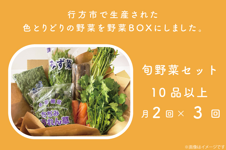 茨城県行方市のふるさと納税 CU-140　【3ヶ月定期便】野菜王国なめがたの野菜もりもり定期便（月２回発送）
