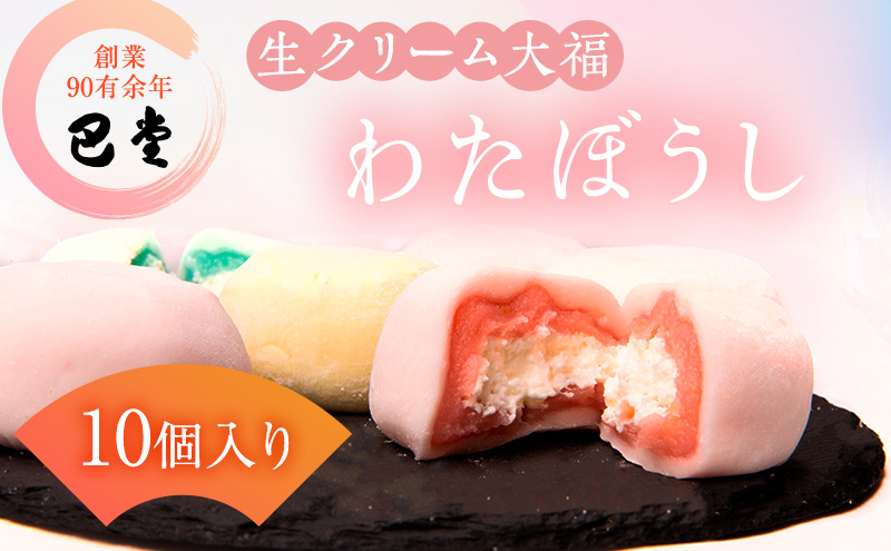 巴堂のわたぼうし（大福　10個） 和菓子 和スイーツ スイーツ お菓子 おやつ お茶うけ お茶のお供 生クリーム大福 生菓子 和生菓子 