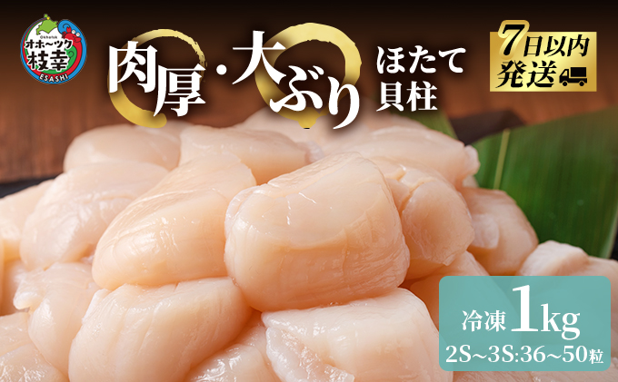 北海道枝幸町のふるさと納税 枝幸の四季 肉厚大玉ほたて冷凍貝柱1kg（2S～3Sサイズ：36～50粒）【枝幸ほたて】枝幸海産 【 冷凍 貝柱 刺身 大 魚介 海 帆立 年越し 贈答 贈り物 ギフト 魚貝類 北海道 オホーツク 枝幸 】