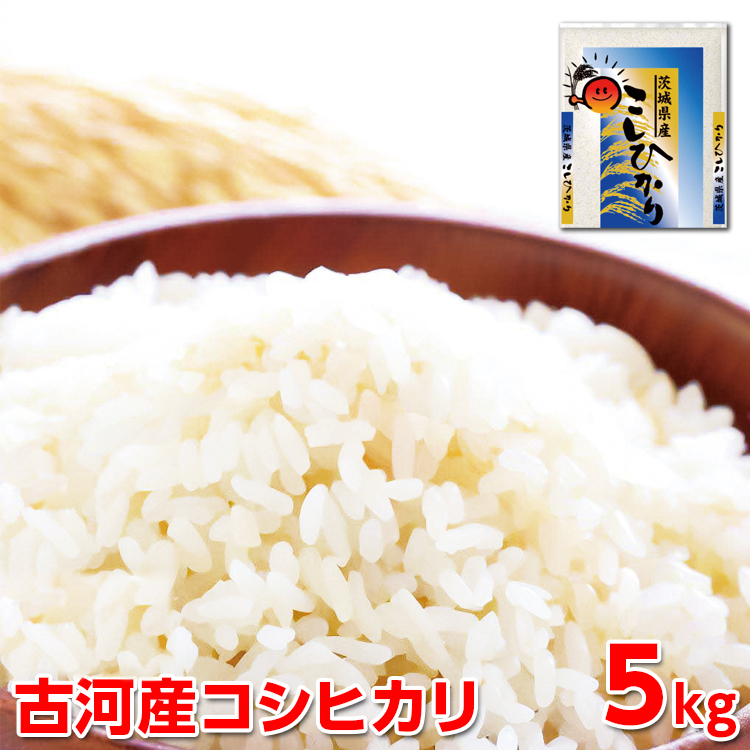 [新米]令和7年産 古河産コシヒカリ(5kg)| 米 こめ コメ 5キロ こしひかり コシヒカリ 古河市産 茨城県産 贈答 贈り物 プレゼント 茨城県 古河市 直送 産地直送 送料無料 ※2025年9月上旬頃より順次発送予定 _DP07