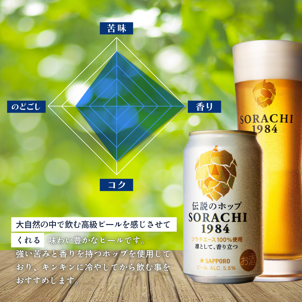 ビール 定期便 12ヶ月 SORACHI1984 350ml × 24缶 上富良野町発祥
