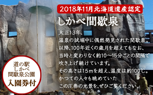 蒸し釜体験 1名様分 ほたて饅 お土産付 根昆布だし 道の駅しかべ 間歇泉公園 入園券付 体験型チケット