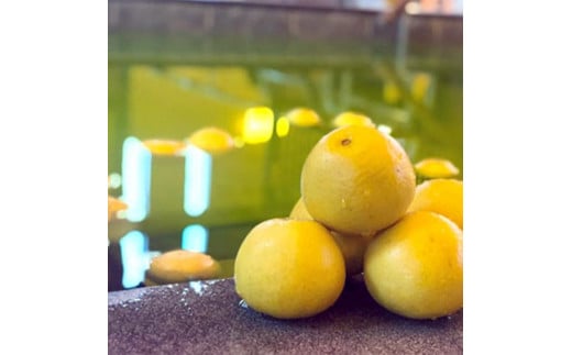 FKK19-18G_入浴+岩盤浴+お食事券(2枚） ペアでもおひとり様2回利用でもOK 熊本県 嘉島町