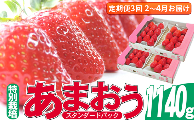 【福岡県朝倉市】定期便 3回 いちご 発送時期 2026年2月〜4月 うるう農園のあまおう スタンダード4パック 約1.14kg 配送不可 離島 果物類 フルーツ 安心 安全 美味しい 食べやすい