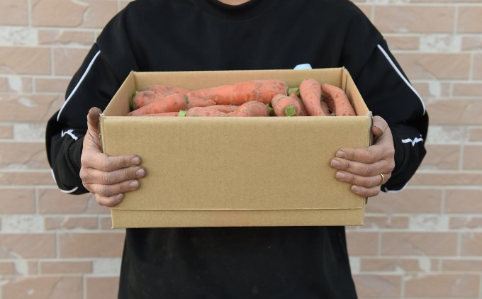 訳あり 規格外 にんじん 約5kg 有機JAS認証取得 栽培期間中農薬 除草剤 化学肥料不使用 野菜 食材 緑黄色野菜 国産野菜 えぐみがない 甘い人参 産地直送 キャロット ベジタブル 