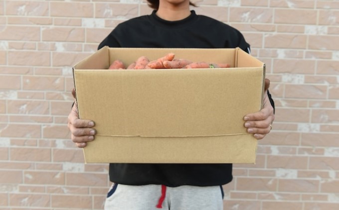 訳あり 規格外 にんじん 約10kg 有機JAS認証取得 栽培期間中農薬 除草剤 化学肥料不使用 野菜 食材 緑黄色野菜 国産野菜 えぐみがない 甘い人参 産地直送 キャロット ベジタブル 