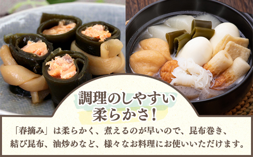 【北海道鹿部町産】白口浜真昆布 春摘み 250g（50g×5）真昆布 早摘み