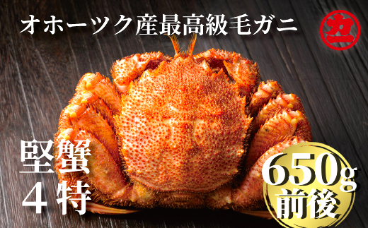 ykCʎsz24-55 kCY{CтɁylz TCY1i1650Oj