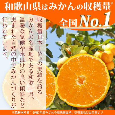 AT6315_ご家庭用　有田みかん 約7kg (2L、3Lサイズ)【湯浅町】