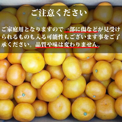 AT6315_ご家庭用　有田みかん 約7kg (2L、3Lサイズ)【湯浅町】