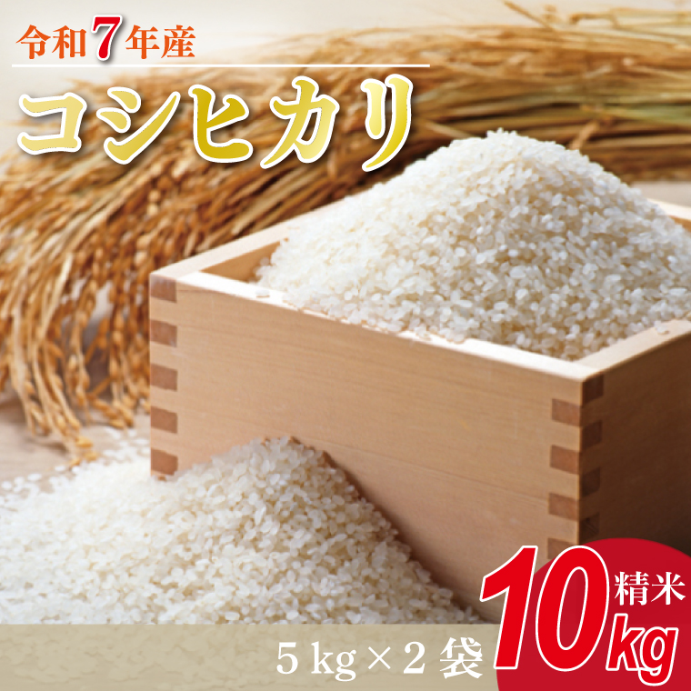 �y��錧�s���s�z���V�ā�R7�N�Y �R�V�q�J�� 10kg(5kg×2��)�b�� ���� ���� ���� �V�� R7�N�Y �ߘa7�N�Y �����Ђ��� �R�V�q�J�� ��錧 ��錧�Y �s���s(HA-14)