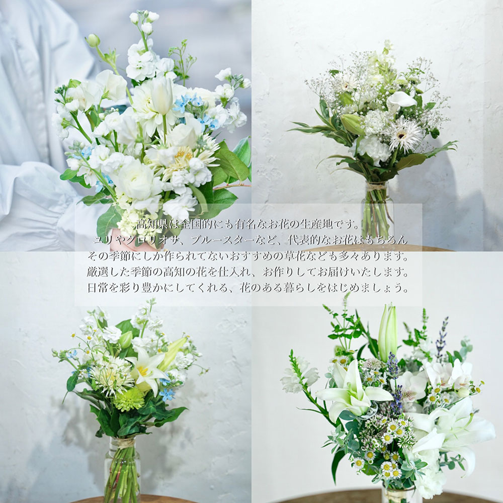 t168tmf　《12ヵ月定期便》花束一束 お供え 初回花瓶付S 定期便 定期コース 全12回 初回花瓶付き 延命剤付き 花びん 生花 仏花 供花 花束 はな 花 法要 お盆 おすすめ 一束 季節のお花 供花 お供え
