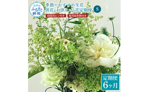 t167tmf [6ヵ月定期便]花束一束 お供え 初回花瓶付S 定期便 定期コース 全6回 初回花瓶付き 延命剤付き 花びん 生花 仏花 供花 花束 はな 花 法要 お盆 花 おすすめ 一束 季節のお花 供花 お供え