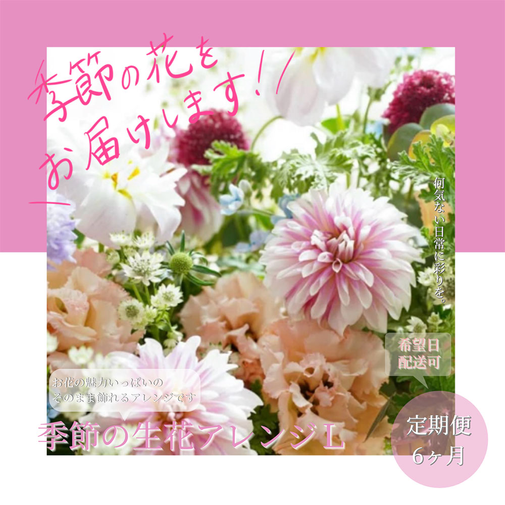 ym|zt164tmf@s6ցtߐԃAWgL  R[X S6 t[AWg ̂܂܏  ԑ     LC  G߂̂  